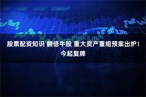 股票配资知识 翻倍牛股 重大资产重组预案出炉！今起复牌